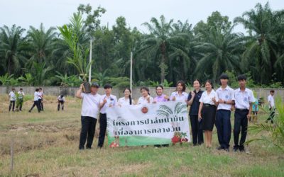 ปลูกต้นปาล์มน้ำมัน ในโครงการปาล์มน้ำมันเพื่ออาหารกลางวัน